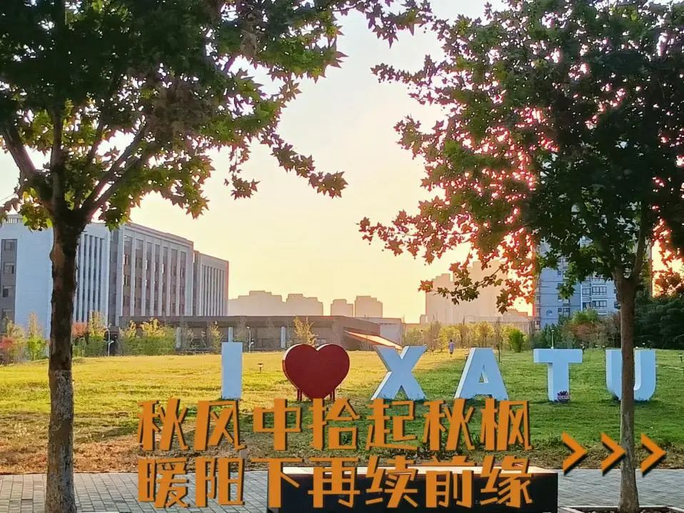 树树皆秋色，山山唯落晖