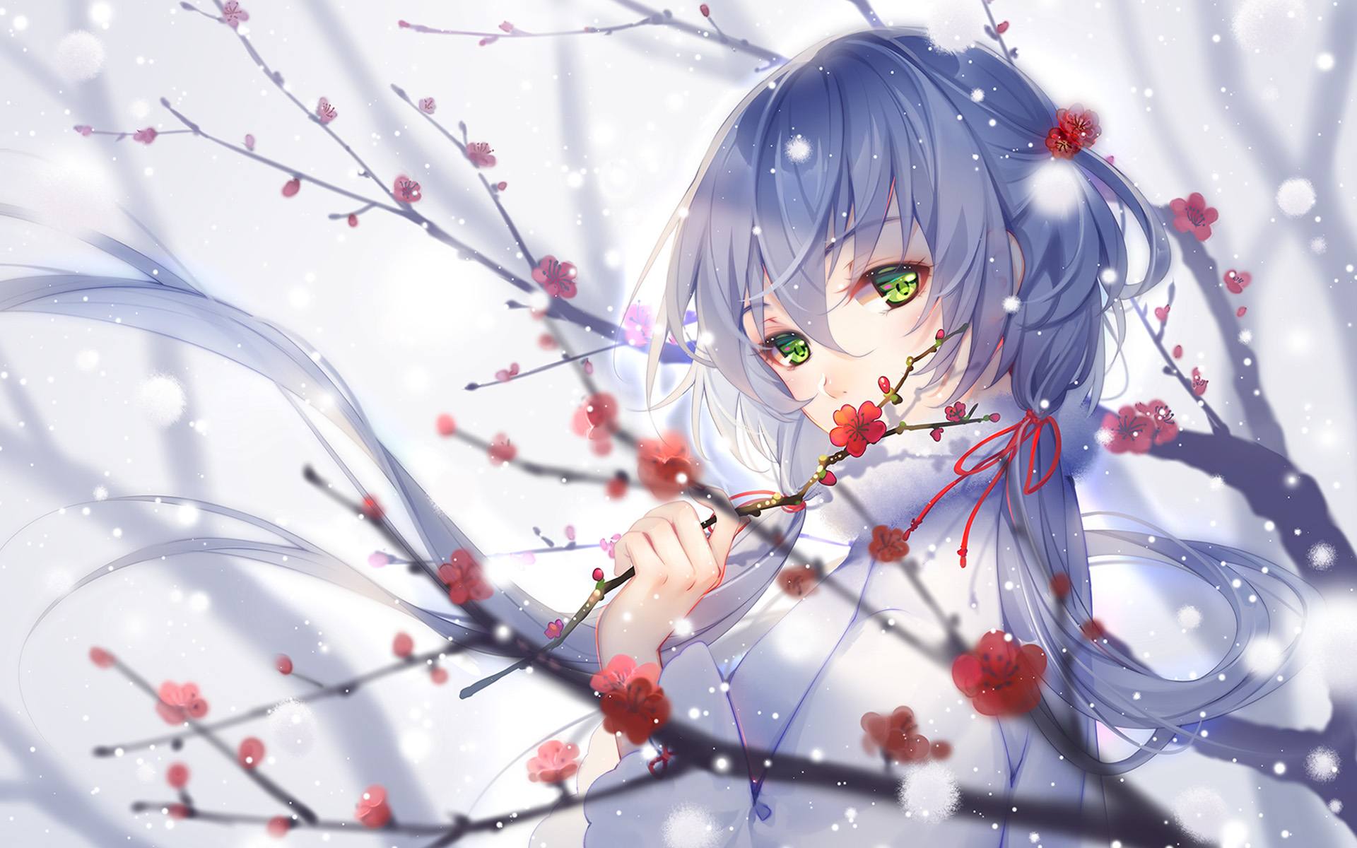 常用VPS脚本